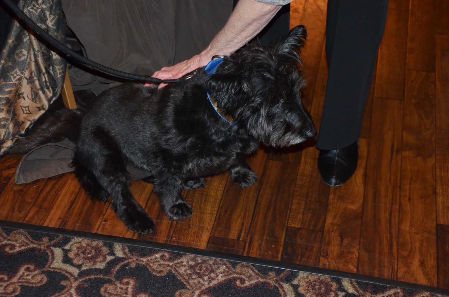 Humane Indiana Gala